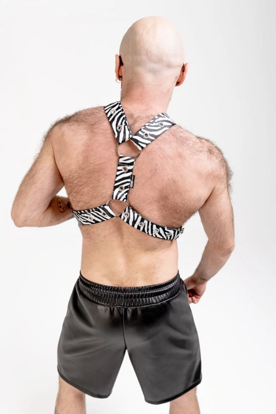 Uprząż z pasów zebra